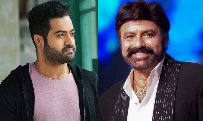  Star Hero Balakrishna Comments About Junior Ntr Details, Jr Ntr, Nandamuri Balak-TeluguStop.com