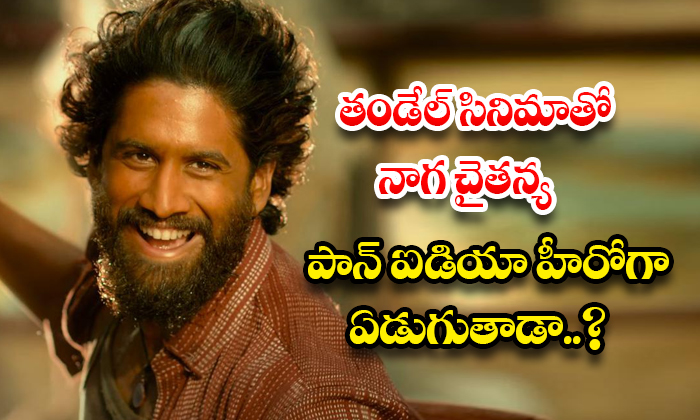  Will Naga Chaitanya Cry As A Pan Idea Hero With Tandel Movie..?, Tandel, Naga Ch-TeluguStop.com