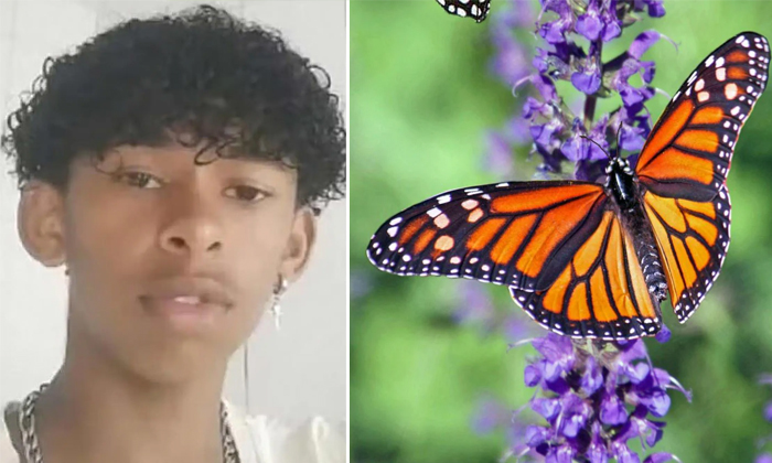 Brazilian Teen Dies From Injecting Butterfly Into Veins In Viral Challenge Detai Brazilian Teen Dies From Injecting Butterfly Into Veins In Viral Challenge Detai-TeluguStop.com