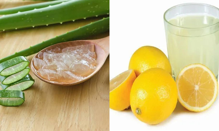 Telugu Aloevera Gel, Tips, Besan, Honey, Latest, Lemon, Mint, Skin Care, Skin Ca Telugu Aloevera Gel, Tips, Besan, Honey, Latest, Lemon, Mint, Skin Care, Skin Ca