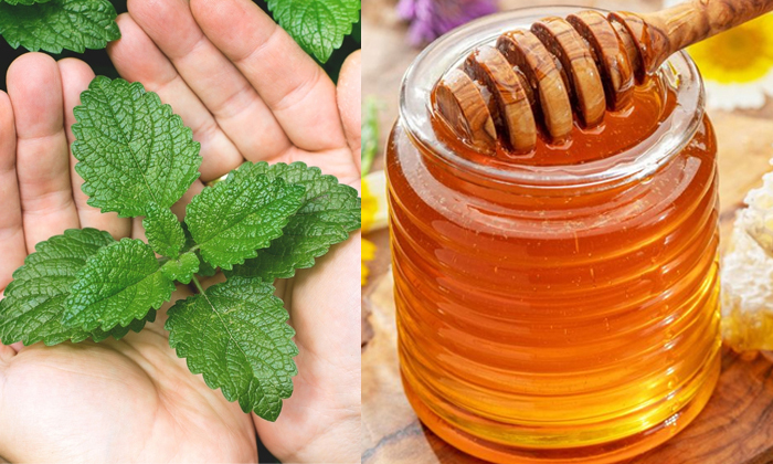 Telugu Aloevera Gel, Tips, Besan, Honey, Latest, Lemon, Mint, Skin Care, Skin Ca Telugu Aloevera Gel, Tips, Besan, Honey, Latest, Lemon, Mint, Skin Care, Skin Ca