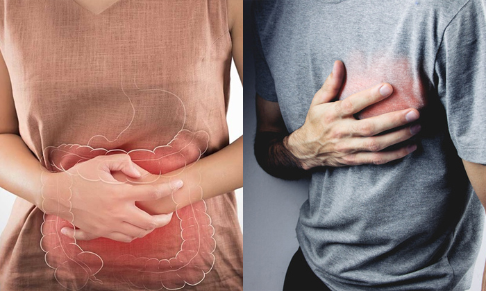 Telugu Ginger Tea, Gingertea, Green Tea, Tips, Immunity, Latest-Telugu Health