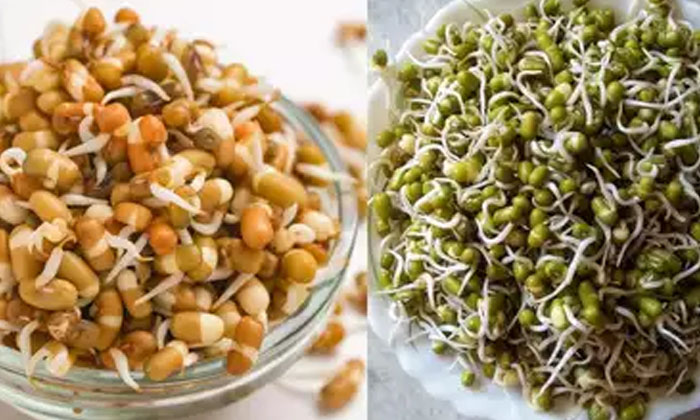  Here The Health Benefits Of Eating Salads! Salads, Salad Health Benefits, Latest-TeluguStop.com