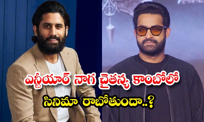  Ntr Naga Chaitanya Combo Movie Is Going To Come Details, Ntr, Naga Chaitanya, Nt-TeluguStop.com