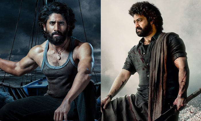 Telugu Jr Ntr, Multi Starer, Naga Chaitanya, Ntrnaga, Pan India, Ram Charan-Movi