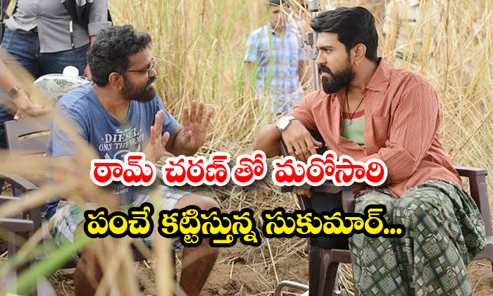  Sukumar Is Once Again Making Panche With Ram Charan Details, Sukumar , Ram Chara-TeluguStop.com