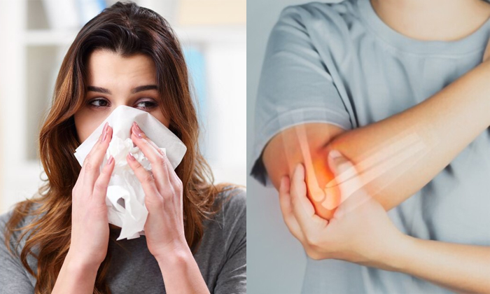 What Are The Symptoms Of Vitamin C Deficiency Details, Vitamin C, Vitamin C Ben What Are The Symptoms Of Vitamin C Deficiency Details, Vitamin C, Vitamin C Ben-TeluguStop.com