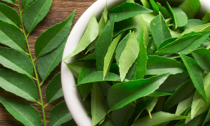 Telugu Curry, Curryginger, Ginger, Care, Care Tips, Healthy, Latest, Fall-Telugu Telugu Curry, Curryginger, Ginger, Care, Care Tips, Healthy, Latest, Fall-Telugu