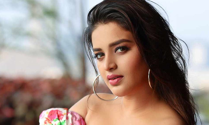 Telugu Struggles, Nidhi Agarwal, Nidhiagarwal-Movie