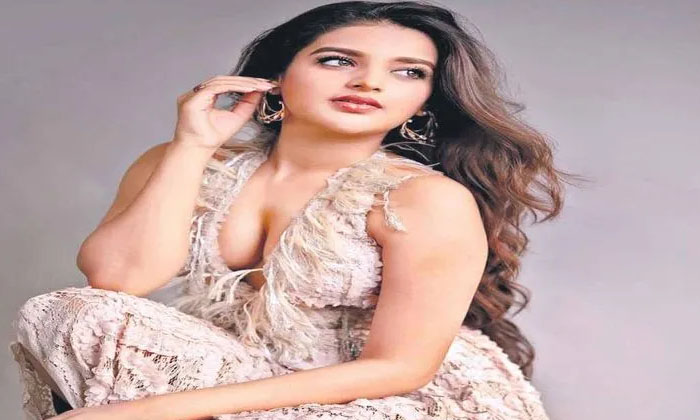  Nidhi Agarwal Opens About Her Film Struggles, Nidhi Agarwal, Film Struggles, Com-TeluguStop.com