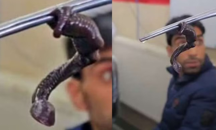 Terrifying Incident 10 Cm Leech Removed From A Boys Nose In Kashmir, What Is Thi Terrifying Incident 10 Cm Leech Removed From A Boys Nose In Kashmir, What Is Thi-TeluguStop.com