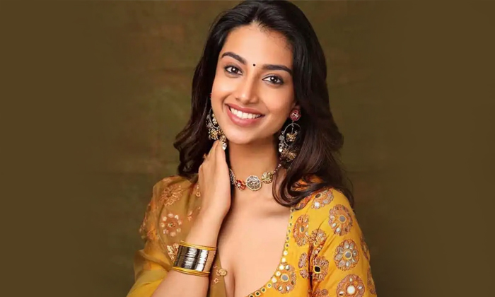 Telugu Ap Ambassador, Ap, Cm Chandrababu-Movie