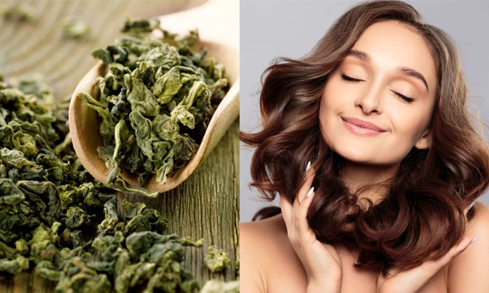  How To Use Green Tea For Heavy Hair Growth Details, Hair Growth, Hair Growth Ti-TeluguStop.com