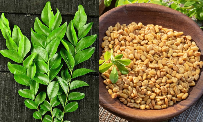 Telugu Curry, Fenugreek Seeds, Green Tea, Care, Care Tips, Tips, Tonic, Healthy-
