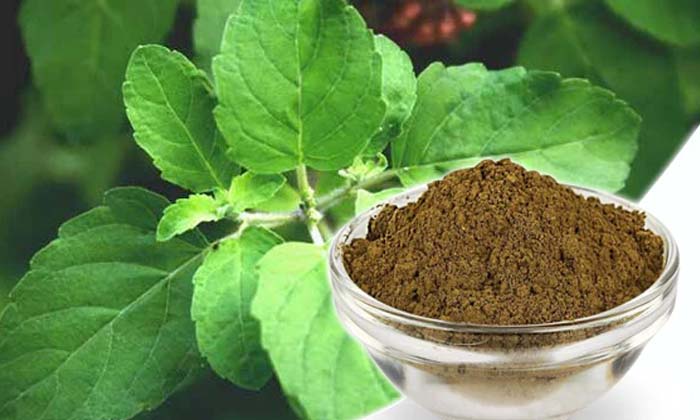 Telugu Dandruff, Dandruff Tips, Dry Scalp, Care, Care Tips, Powerful Tips, Power