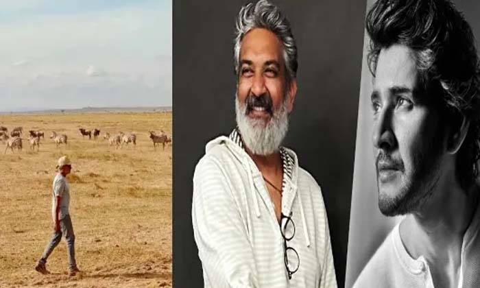 Telugu Leaks, Mahesh Babu, Rajamouli, Ssmb, Tollywood-Movie