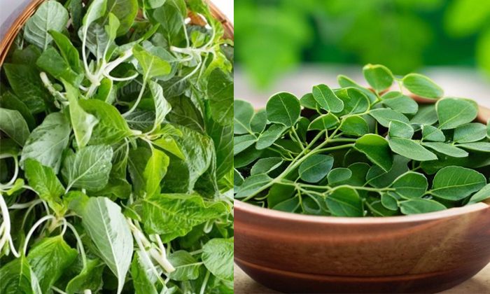 Telugu Anemia, Anemia Foods, Dry Furits, Greenleafy, Tips, Latest, Milk, Foods-T