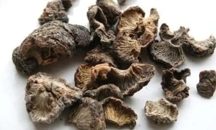 Telugu Bald Scalp, Care, Care Tips, Healthy, Homemade Tonic, Tonicpromotes-Telug Telugu Bald Scalp, Care, Care Tips, Healthy, Homemade Tonic, Tonicpromotes-Telug