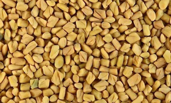 Telugu Care, Care Tips, Serum, Healthy, Homemade Serum, Fall, Homemadeserum-Telu Telugu Care, Care Tips, Serum, Healthy, Homemade Serum, Fall, Homemadeserum-Telu