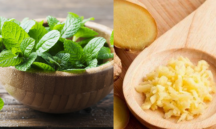 Telugu Ginger, Tips, Latest, Mint, Obesity-Telugu Health Telugu Ginger, Tips, Latest, Mint, Obesity-Telugu Health
