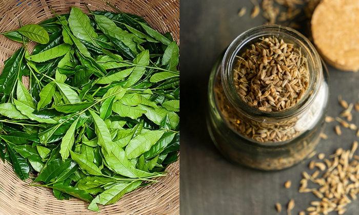 Telugu Ajwain, Fennel Seeds, Ginger, Green Tea, Tips, Latest-Telugu Health