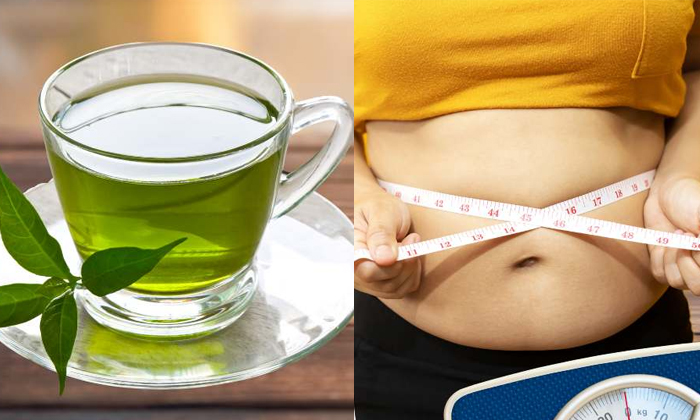  Those Who Drink Green Tea Daily To Lose Weight Should Know This Details, Green-TeluguStop.com