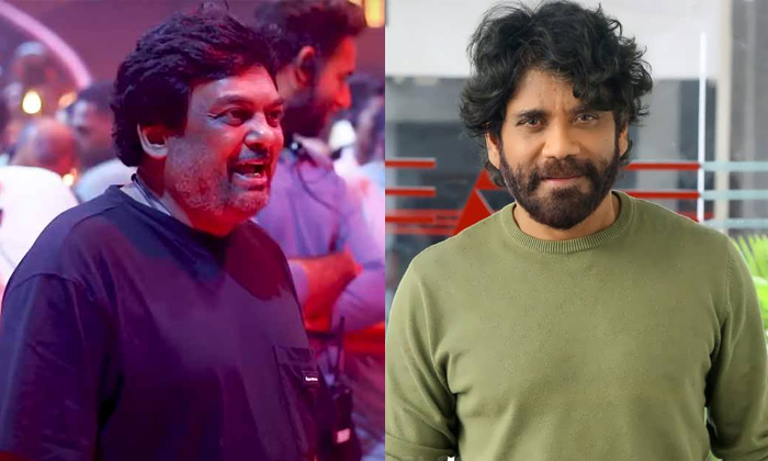 Can Puri Make A Comeback Details, Puri Jagannath, Nagarjuna, Balakrishna, Chiran Can Puri Make A Comeback Details, Puri Jagannath, Nagarjuna, Balakrishna, Chiran-TeluguStop.com