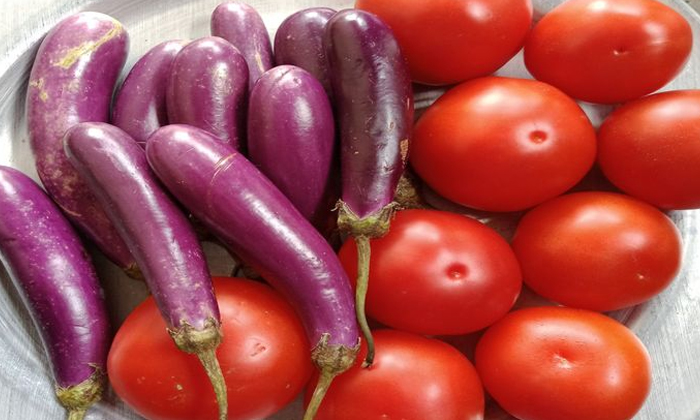 Telugu Brinjal, Tips, Latest-Telugu Health