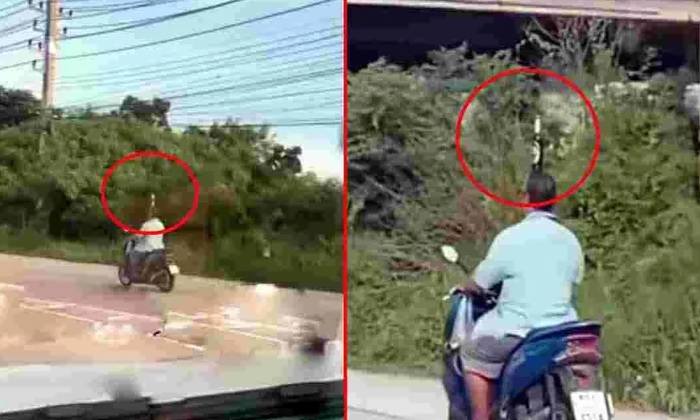 Man Driving Scooty With Balance Beer Bottle On His Head Viral Video, Viral Video Man Driving Scooty With Balance Beer Bottle On His Head Viral Video, Viral Video-TeluguStop.com