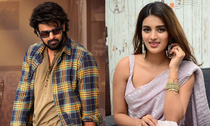 Nidhi Agarwal Comments About The Rajasaab And Harihara Veeramallu Details, Nidhi Nidhi Agarwal Comments About The Rajasaab And Harihara Veeramallu Details, Nidhi-TeluguStop.com