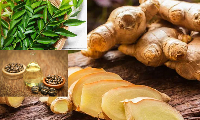 Telugu Care, Care Tips, Fall, Healthy, Natural Tonic, Naturaltonic-Telugu Health Telugu Care, Care Tips, Fall, Healthy, Natural Tonic, Naturaltonic-Telugu Health