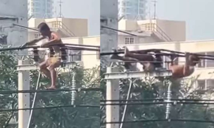Videvandi Babu.. Is Doing Push-ups On Live Wires., Viral Video, Electric Pole St Videvandi Babu.. Is Doing Push-ups On Live Wires., Viral Video, Electric Pole St-TeluguStop.com