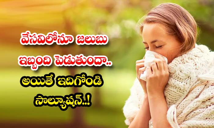వేసవిలోనూ జలుబు ఇబ్బంది పెడుతుందా.. అయితే ఇదిగోండి సొల్యూషన్..!