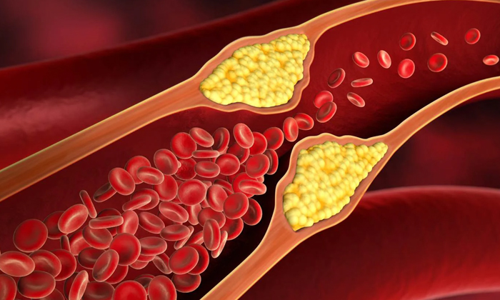 Telugu Coffee, Coffee Benefits, Creams, Tips, Hot Coffee, Hotcoffee, Latest, Sug Telugu Coffee, Coffee Benefits, Creams, Tips, Hot Coffee, Hotcoffee, Latest, Sug