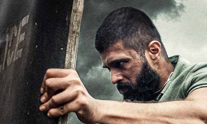  Is 'Kingdom' Going To Be At The Next Level , Arjun Reddy , Kingdom , Telugu Film-TeluguStop.com