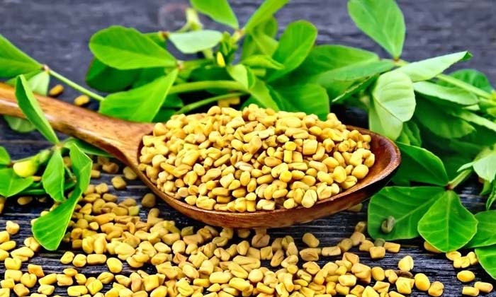 Telugu Delivery, Care, Care Tips, Fall, Oil, Healthy, Homemadeoil-Telugu Health Telugu Delivery, Care, Care Tips, Fall, Oil, Healthy, Homemadeoil-Telugu Health