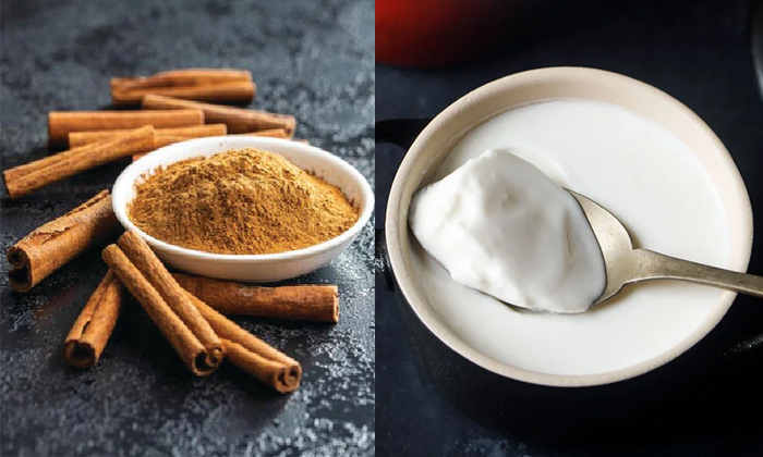 Telugu Cinnamon, Coffee, Coffee Powder, Coffeepowder, Curd, Care, Care Tips, Hea Telugu Cinnamon, Coffee, Coffee Powder, Coffeepowder, Curd, Care, Care Tips, Hea