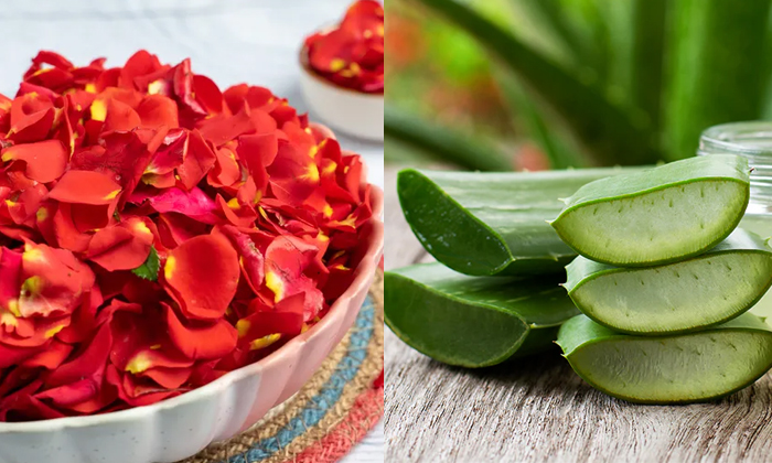 Telugu Aloevera, Bad Smell, Care, Care Tips, Smell, Wash, Healthy, Remedy, Rose