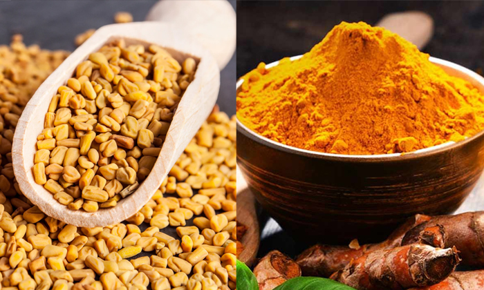 Telugu Black, Coffee Powder, Fenugreek Seeds, Care, Care Tips, Pack, Healthy, He Telugu Black, Coffee Powder, Fenugreek Seeds, Care, Care Tips, Pack, Healthy, He