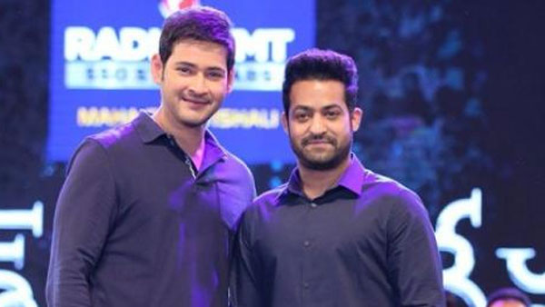  Fans Waiting For Mahesh And Jr Ntr Updates, Ntr, Mahesh Babu, Movie Updates, Fan-TeluguStop.com