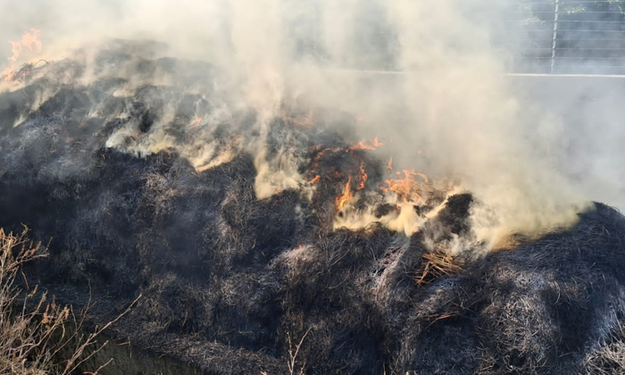  Grassland Caught Fire After Being Struck By Electric Wires, Electric Wires, Gra-TeluguStop.com